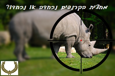 טיפים לשוניים לשדרוג הטקסט האקדמי l דפנה גלייזר-אמיר l עלי דפנה - עריכה לשונית ייעודית אקדמית
