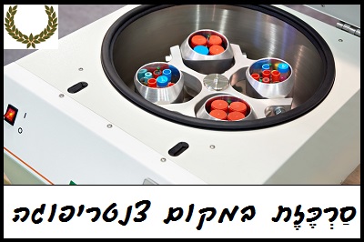 טיפים לשוניים לשדרוג הטקסט האקדמי l דפנה גלייזר l עלי דפנה - עריכה לשונית ייעודית אקדמית